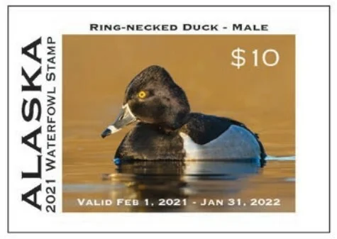 Alaska Waterfowl Stamp 2021