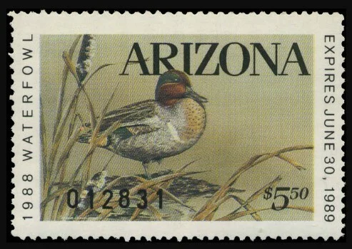 Arizona Waterfowl Stamp